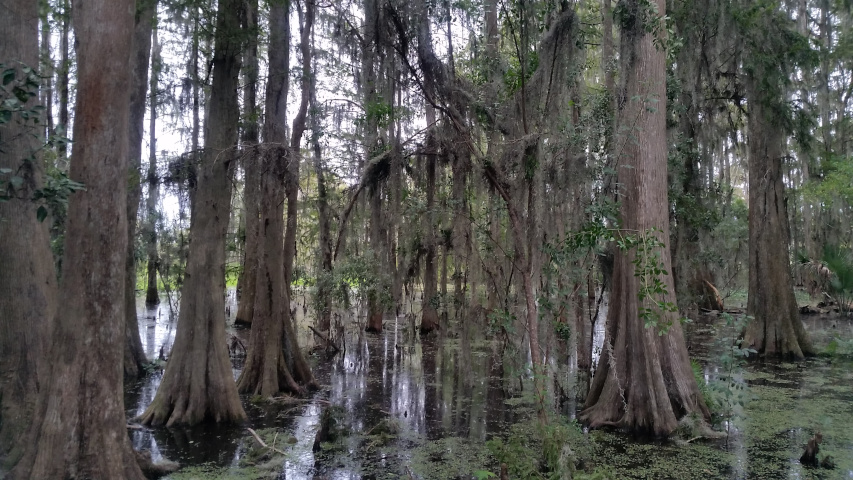 Wetlands Mitigation Bank